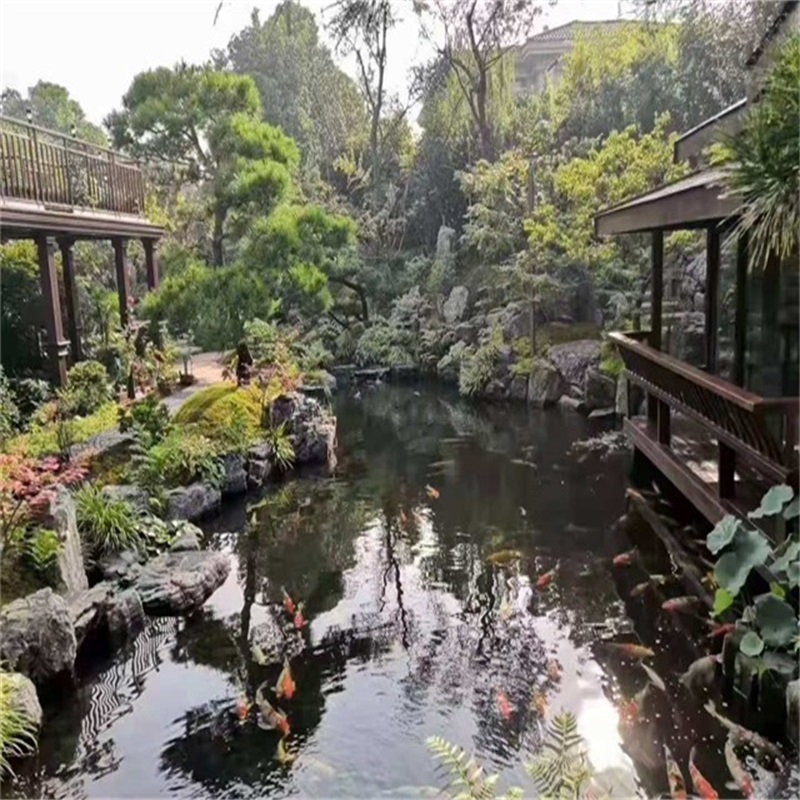 柳江小庭院假山鱼池